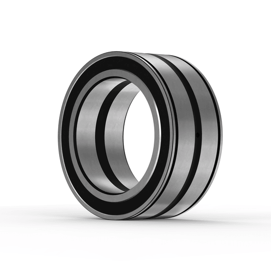 SL045006-PP-C3 INA - Zylinderrollenlager with white background