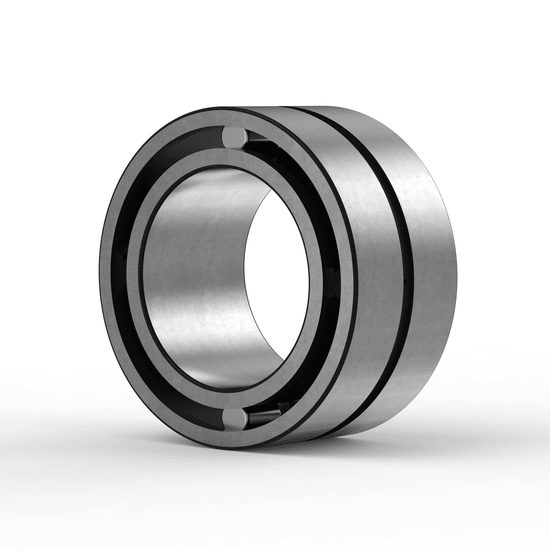 SL185009 INA - Zylinderrollenlager with white background