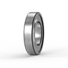 RLS10-2Z SKF