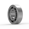 RMS13 SKF