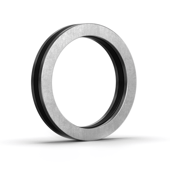 81206-TV INA - Axial-Zylinderrollenlager with white background