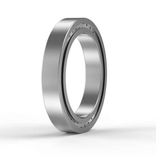 SL183010XL INA - Zylinderrollenlager with white background