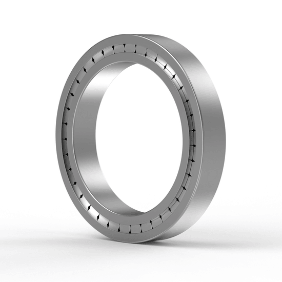 SL182224-C3 INA - Zylinderrollenlager with white background